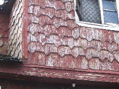 IMG_2048.JPG