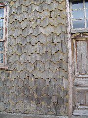 IMG_2051.JPG