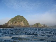 IMG_2027.JPG