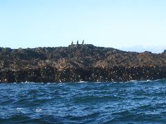 IMG_2032.JPG