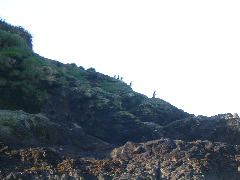 IMG_2036.JPG