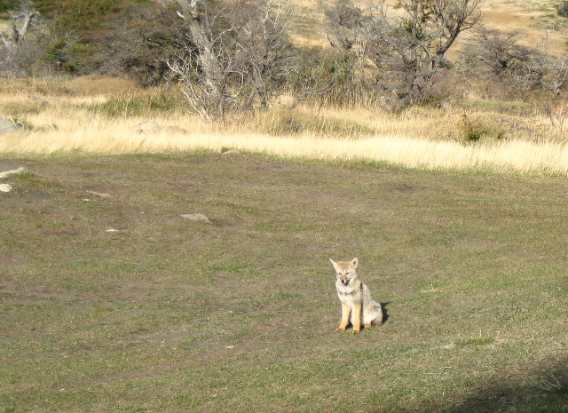 IMG_2181.JPG