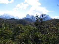 IMG_2111.JPG