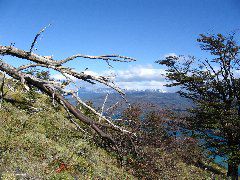 IMG_2114.JPG