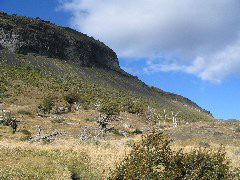 IMG_2121.JPG