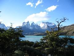 IMG_2130.JPG
