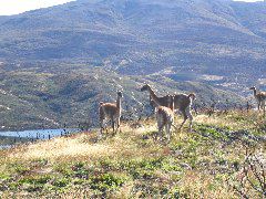 IMG_2166.JPG