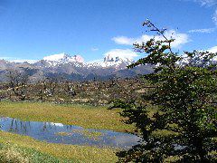 IMG_2174.JPG