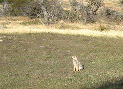 IMG_2181.JPG