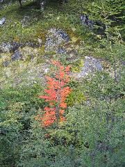 IMG_2213.JPG