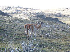 IMG_2233.JPG