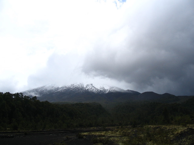 IMG_1993.JPG