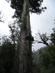 IMG_1967.JPG