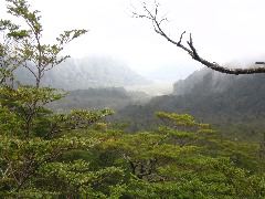 IMG_1978.JPG