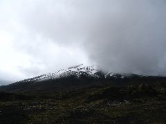 IMG_1988.JPG