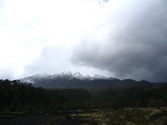 IMG_1993.JPG