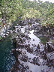 IMG_1996.JPG