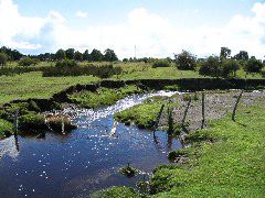 IMG_1939.JPG