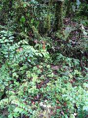 IMG_1942.JPG