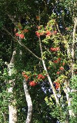 IMG_1946.JPG