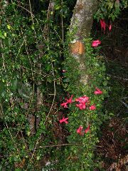 IMG_1960.JPG