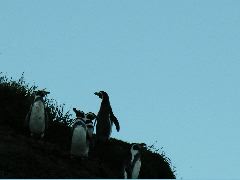 DSCN1659