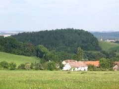 IMG_1642.JPG