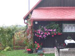 IMG_1677.JPG