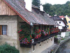 IMG_1667.JPG