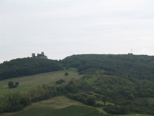 IMG_1504.JPG