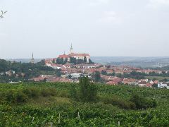 IMG_1456.JPG