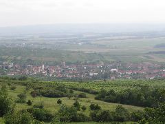 IMG_1506.JPG