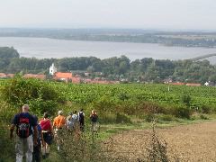 IMG_1510.JPG