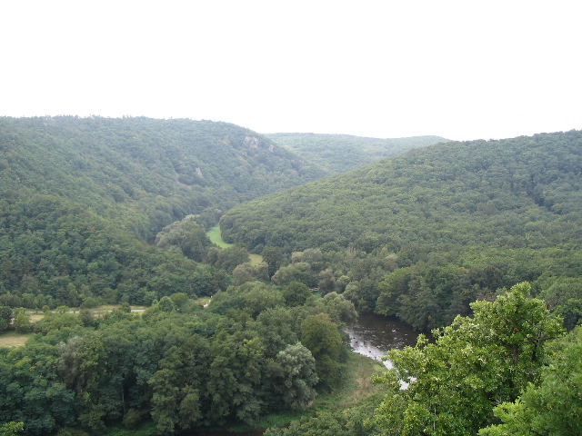 IMG_1557.JPG