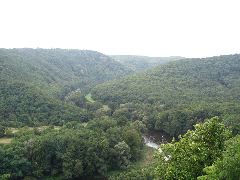 IMG_1557.JPG