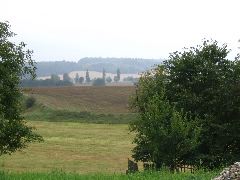 IMG_1600.JPG