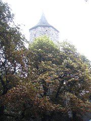 IMG_1617.JPG