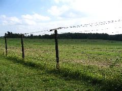 IMG_1578.JPG