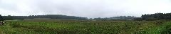 countryside