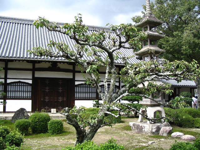tree with pagoda Uji.JPG