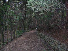 Uji path.JPG