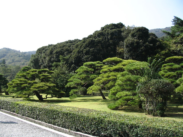 Ise shrine entry walk.JPG