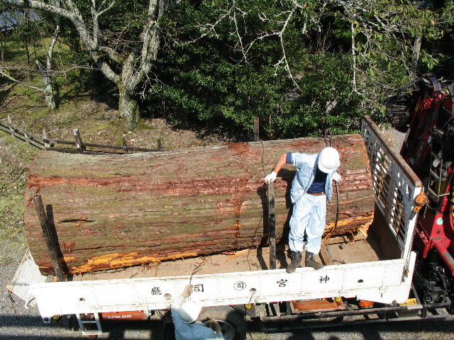 big log Ise.JPG