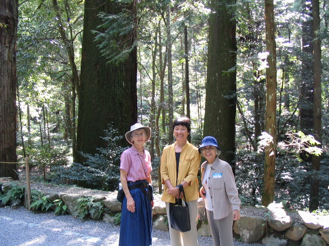 LM&M with tree.JPG