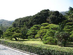 Ise shrine entry walk.JPG