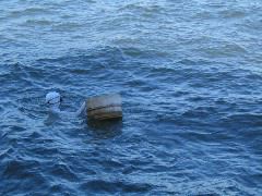 barrel and diver 2.JPG