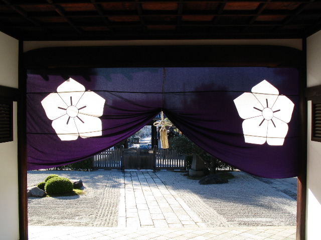 campanula banner Chishaku-In.JPG