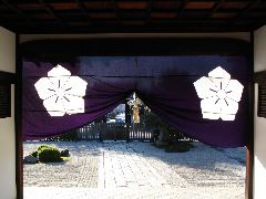 campanula banner Chishaku-In.JPG