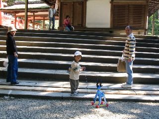 boy with deer Nara.JPG
