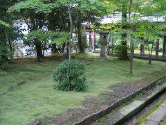 Ryoan-Ji lantern + moss.JPG